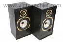 Tannoy M20 Gold Speakers