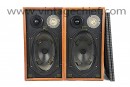 Bowers & Wilkins DM1 Speakers