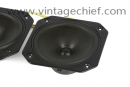 Audiolab P17WG-10 Woofers (2x)