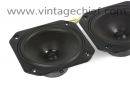 Audiolab P17WG-10 Woofers (2x)