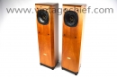 Tannoy Definition D300 Speakers