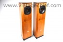 Tannoy Definition D300 Speakers