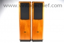 Tannoy Definition D300 Speakers
