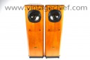 Tannoy Definition D300 Speakers